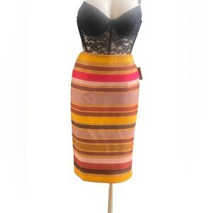 Chic Fall Vibes: NWT Lord & Taylor Burnt Orange Stripe Skirt